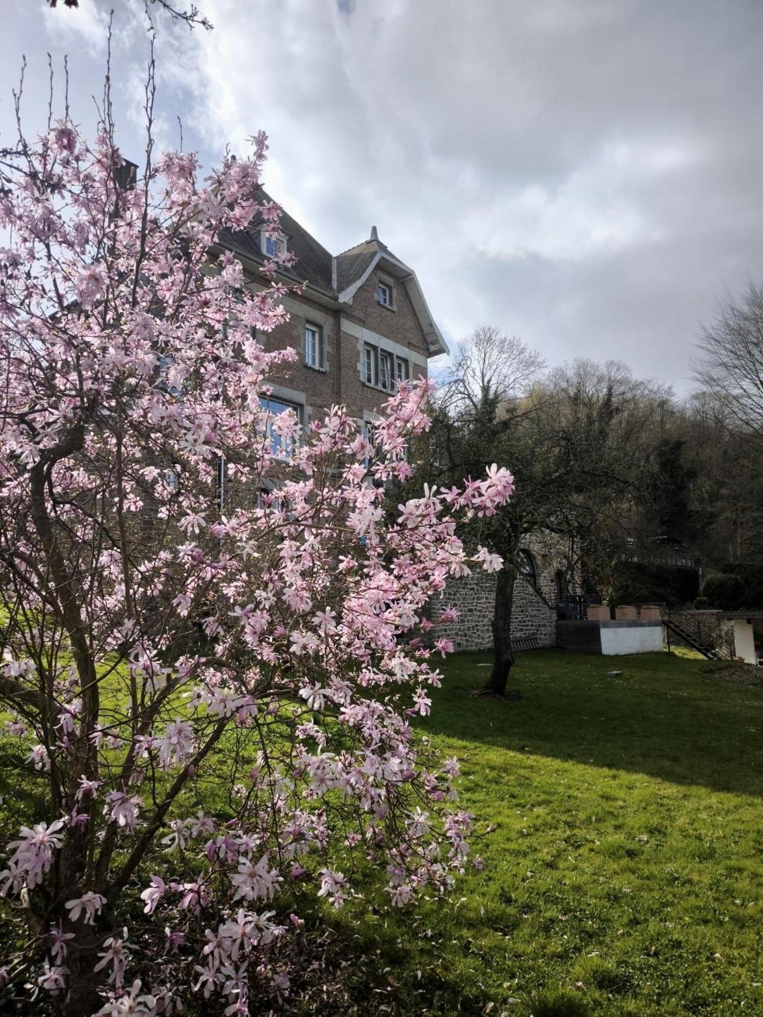 Le Castel Mosan Apartment Namur Exterior photo